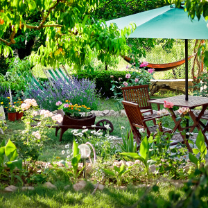 Les projets à la une // Je m'occupe de mon jardin cet été