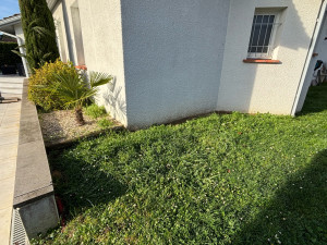 Allovoisins // Gallerie