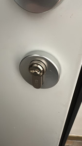 Allovoisins // Gallerie