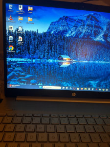 Allovoisins // Gallerie