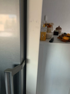 Allovoisins // Gallerie