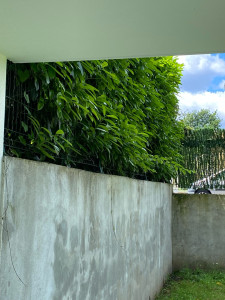Allovoisins // Gallerie