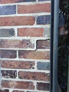 Allovoisins // Gallerie