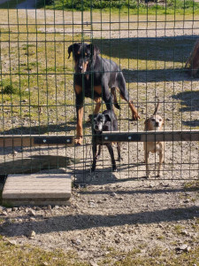 Allovoisins // Gallerie