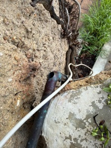 Allovoisins // Gallerie