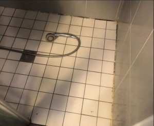 Allovoisins // Gallerie