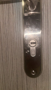 Allovoisins // Gallerie