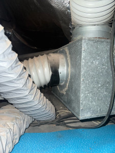 Allovoisins // Gallerie