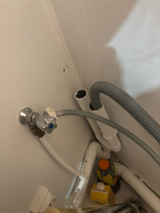 Allovoisins // Gallerie