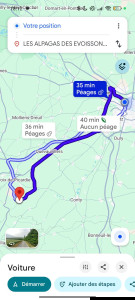 Allovoisins // Gallerie