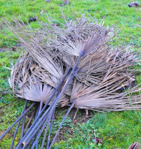 Allovoisins // Gallerie