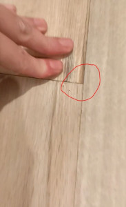 Allovoisins // Gallerie