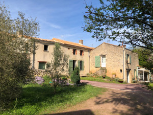 Allovoisins // Gallerie