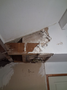 Allovoisins // Gallerie