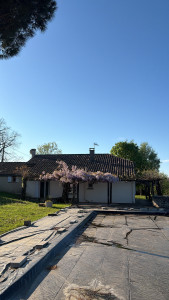 Allovoisins // Gallerie