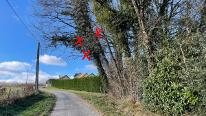 Allovoisins // Gallerie