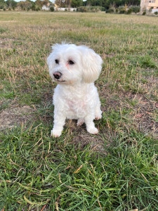 Allovoisins // Gallerie