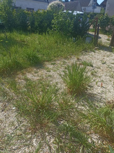 Allovoisins // Gallerie