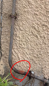 Allovoisins // Gallerie