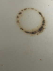 Allovoisins // Gallerie