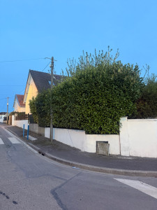 Allovoisins // Gallerie