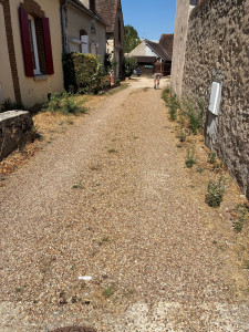 Allovoisins // Gallerie