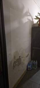 Allovoisins // Gallerie