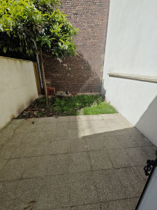 Allovoisins // Gallerie