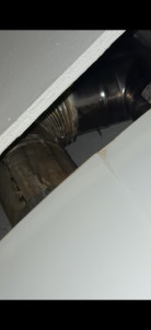 Allovoisins // Gallerie