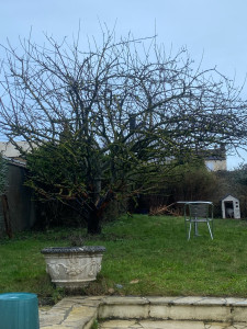 Allovoisins // Gallerie