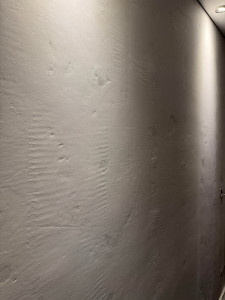 Allovoisins // Gallerie