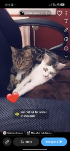 Allovoisins // Gallerie