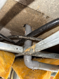 Allovoisins // Gallerie