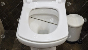 Allovoisins // Gallerie