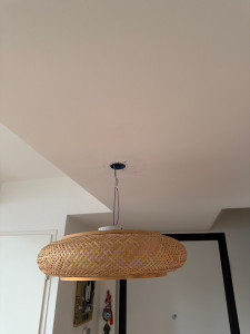 Allovoisins // Gallerie