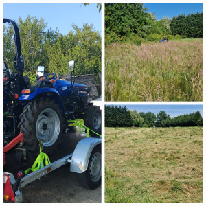 Florian D. (F & E Multiservices)