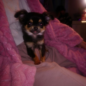 Hanane E. (Service a La Personne, Ména...