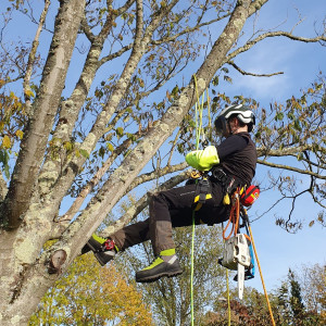 Fabien L. (ProGreen Services)