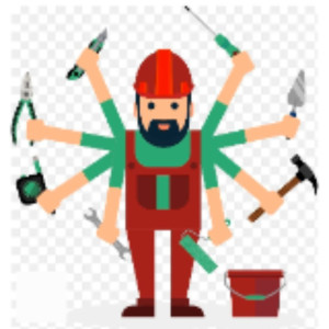 Vincent G. (ViGo Services)