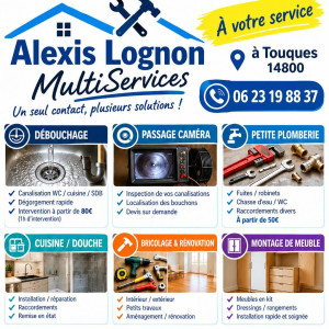 Alexis L. (SOS DEPANNAGE)