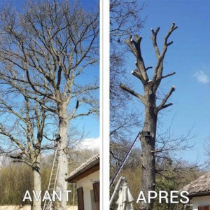 Ephraim M. (Maillet)