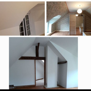 Remy S. (Magic Home Service)