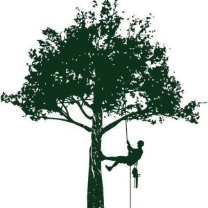 John D. (Dassonville John)