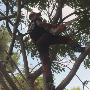 Tony R. (tony renovation)