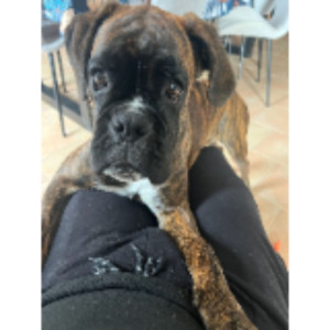 Nathalie N. (natnet)