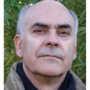 Gomez Fuentes F. (Geppetto le bricoleu...