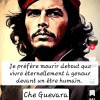 avatar Chaabane L.<