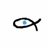 avatar Ali M.<