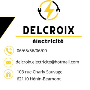 Mathieu D. (Delcroix electricite)