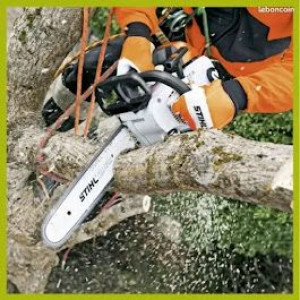 Bryan Allan C. (élagueur professionnel...